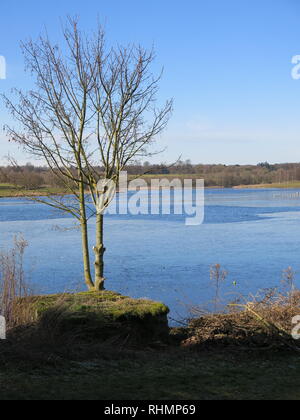 Une scène d'hiver au niveau du réservoir, en partie gelés en début de février ; Sywell Northamptonshire, Country Park Banque D'Images