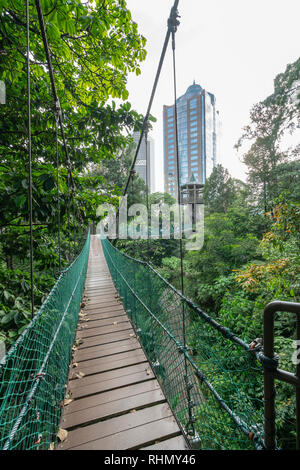 Vue de l'auvent à pied dans la forêt KL Eco Park à Kuala Lumpur, Malaisie Banque D'Images