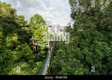 Vue de l'auvent à pied dans la forêt KL Eco Park à Kuala Lumpur, Malaisie Banque D'Images