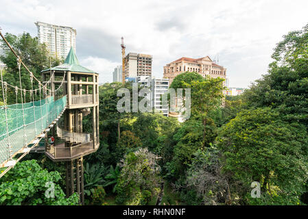 Vue de l'auvent à pied dans la forêt KL Eco Park à Kuala Lumpur, Malaisie Banque D'Images