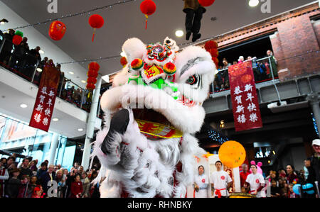 Swansea, Pays de Galles, Royaume-Uni. 3, 2019. Le Nouvel An chinois s'est tenue au National Waterfront Museum à Swansea, Pays de Galles, d'accueillir l'année du cochon, organisée en partenariat avec l'Association chinoise au Pays de Galles. Sur la photo est une danse du lion, a tenu à ouvrir l'événement. Robert Melen/Alamy Live News. Banque D'Images