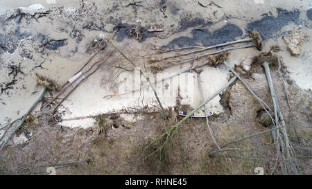 Rostock, Allemagne. Jan 31, 2019. À la plage de la mer Baltique dans la région de Deer firs de Rostocker Heide il y a des arbres sur la plage, qui ont été emportées par les deux marées de tempête au début de l'année. Dans les premiers jours de la nouvelle année, la mer Baltique "volé" à plusieurs mètres de forêt côtière. (Photo aérienne avec un bourdon /copter) Crédit : Bernd Wüstneck/dpa/Alamy Live News Banque D'Images