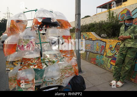 Hanoi, Vietnam. 28 janvier, 2019. Un poissonnier à Hanoi montre ses biens le jour de la 'Cuisine' de Dieu. Les poissons sont vendus aux clients pour l'année à venir, ils devraient porter chance s'ils sont libérés. (Dpa ' Goldfish pour Jade empereurs : rites religieux sont durables au Vietnam' à partir de 04.02.2019) Crédit : Bennett Murray/dpa/Alamy Live News Banque D'Images