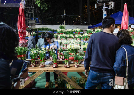 Hong Kong, Chine. 3, 2019. Regardez les acheteurs water lily, une décoration traditionnelle pour la célébration du Nouvel An chinois. Le marché annuel du Nouvel An chinois au parc Victoria, où les habitants shop pour les fleurs et les jouets nouveauté en préparation pour les trois jours de célébration du Nouvel An chinois. Credit : L.C. Leung/SOPA Images/ZUMA/Alamy Fil Live News Banque D'Images