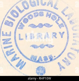 . Le bulletin biologique. Biologie ; zoologie ; biologie ; biologie marine. Les pressions de l'épithélium coelomique dans SIPUNCULUS NUDUS EMIL ZUCKERKANDL Marine Biological Laboratory de Woods Hole (Massachusetts) et Station Biologique, Roscoff, France La plupart des invertébrés vivants sont caractérisés par le manque de constance de leur pression interne. Dans sipunculids, par exemple, la pression peut fluctuer dans un court laps de temps entre près de zéro et l'équivalent de la pression sanguine de l'homme. Les variations de pression de cette ampleur ne se produisent à l'intérieur fermé les systèmes vasculaires. Ils ne sont possibles que dans des espaces remplis de fluide continu un Banque D'Images