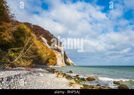 Côte de la mer Baltique sur l'île de Moen au Danemark. Banque D'Images