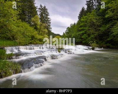 Chutes de Siuslaw, rivière Siuslaw, montagnes de la chaîne côtière, de l'Oregon. Banque D'Images