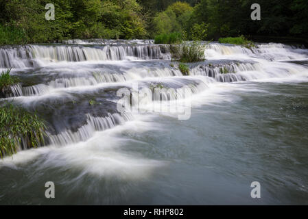 Chutes de Siuslaw, rivière Siuslaw, montagnes de la chaîne côtière, de l'Oregon. Banque D'Images