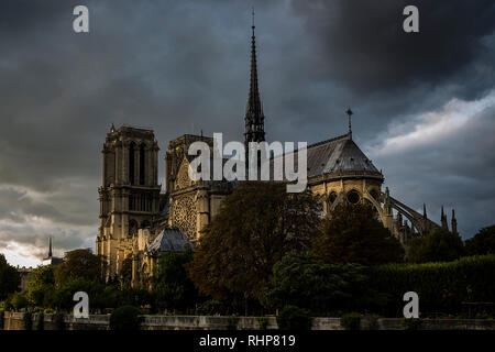 L'été à la cathédrale Notre-Dame de Paris, France