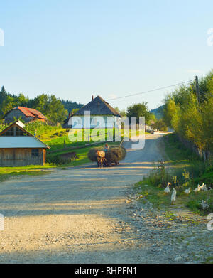 Woman riding horse panier avec le foin dans le village roumain typique, Roumanie Banque D'Images