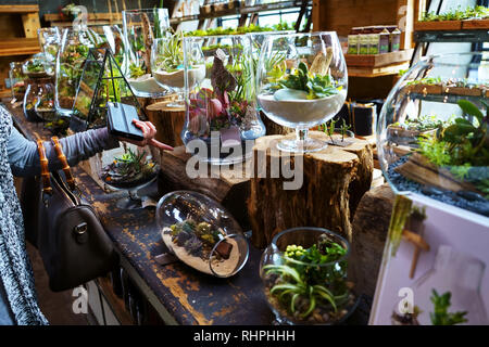 Westport, CT USA. Nov 2018. Smart Shopping pour terrariums en verre à décor de jardin d'une maison magasin. Banque D'Images