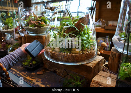 Westport, CT USA. Nov 2018. Smart Shopping pour terrariums en verre à décor de jardin d'une maison magasin. Banque D'Images