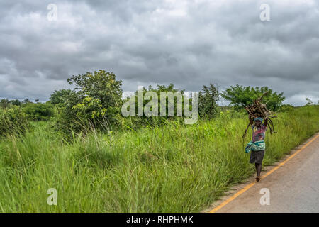 Malange / Angola - 1208 2018 : vue d'une femme plus âgée currying brindilles sur la tête, le long de la route, un paysage tropical comme arrière-plan Banque D'Images