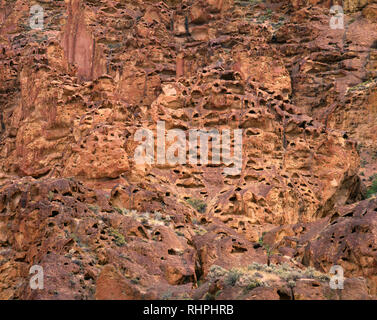 USA (Oregon), Leslie Gulch, formations rocheuses avec d'abeilles formé à partir de cendres volcaniques comprimé appelé Leslie Gulch Tuff. Banque D'Images