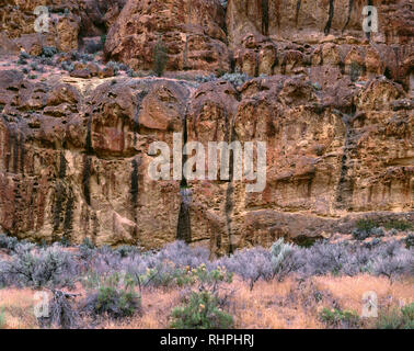 USA (Oregon), Leslie Gulch, formations rocheuses avec d'abeilles formé à partir de cendres volcaniques comprimé appelé Leslie Gulch Tuff. Banque D'Images