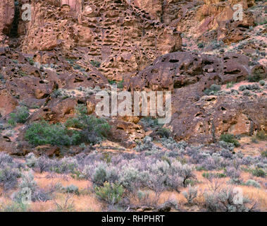 USA (Oregon), Leslie Gulch, formations rocheuses avec d'abeilles formé à partir de cendres volcaniques comprimé appelé Leslie Gulch Tuff. Banque D'Images