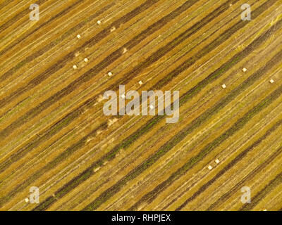 Des formes géométriques abstraites de parcelles agricoles de différentes cultures en vert et jaune. Vue aérienne de haut en bas des terres agricoles en Lituanie. Sunny Banque D'Images