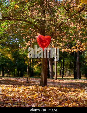 Ballon rouge va à l'autumn park contre l'arrière-plan de feuillage jaune tombé et arbres Banque D'Images