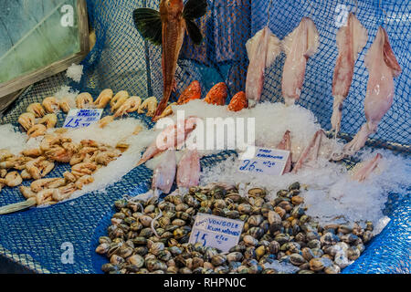 Variété de poissons sur l'écran dans un poissonnier shop à Kadikoy, Istanbul, Turquie. Banque D'Images