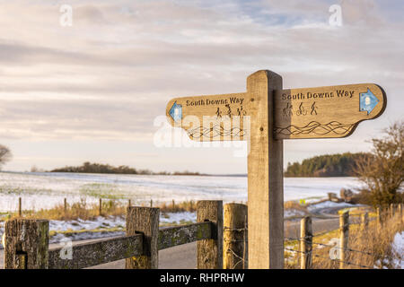 South Downs Way en bois une direction dans les South Downs en hiver, South Downs dans le Hampshire, England, UK Banque D'Images