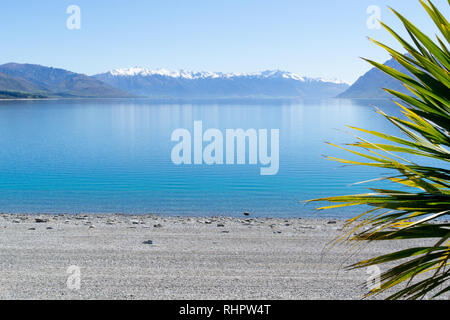 Lake Hawea vue large de la rive tp sur une montagne à distance avec des feuilles de chou sur le côté droit de l'encadrement Banque D'Images