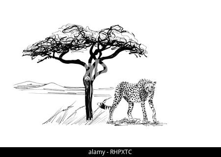Cheetah près d'un arbre en Afrique. Illustration à la main. Collection d'illustrations faites à la main (originaux, pas de traces) Banque D'Images