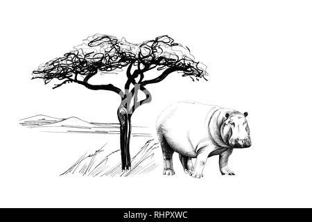 Hippo près d'un arbre en Afrique. Illustration à la main. Collection d'illustrations faites à la main (originaux, pas de traces) Banque D'Images