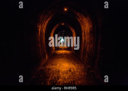 1,6 km Old Railway Tunnel à Coromandel, Tunnel Karangahake à pied, Nouvelle-Zélande Banque D'Images