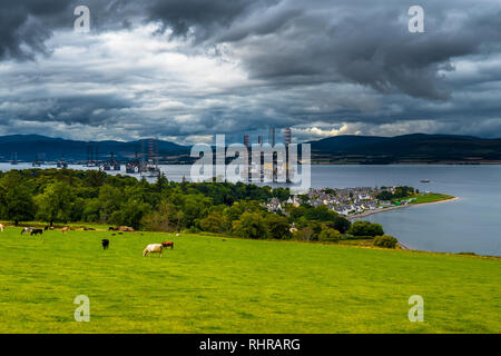 Ville de Cromarty Avec bétail au pâturage et les plates-formes pétrolières dans l'Estuaire de Cromarty en Ecosse Banque D'Images