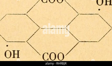 . Biochemie der Pflanzen, von dr. phil et med. Friedrich Czapek. Physiologie végétale. 492 Siebenundsechz. Omnicellulär vorkommende : Kap. cycl. Kohlenstoffverbindungen. nach Perkin und Nierenstein (1) Wozu noch unterschiedHche Ellagsäure, andere Methoden kommen (2). Aus synthetischem Galloyl-Glycin fand Nierenstein (3) par Penicilhum Ellagsäure gebildet, die durch oxy- dation Digallussäure entstanden aus sein kann. Galloylaminosäuren sind durch denselben Forscher übrigens als bekannt gegeben Naturstoffe (4). Dans Galloylleucin Es kommt von den Gall Quercus Aegilops vor. Gefär Ellagsäure ist gelb Banque D'Images