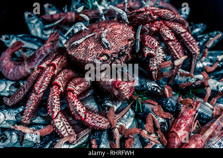 Big hairy crabe bouilli est assis sur un tas de poisson séché salé sur un bouquet cadeau sur le fond noir. Image tonique, close-up Banque D'Images