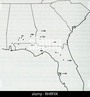 . Dans l'évolution biochimique des salamandres visqueuses Plethodon glutinosus complexe dans l'Est des États-Unis. Salamandre visqueuse ; évolution moléculaire ; Plethodon ; amphibiens. 70 Évolution biochimique dans les salamandres visqueuses. Fig. 14. La distribution de P. grobmani (groupe 11) dans le sud-est des États-Unis à partir d'échantillons identifiées à l'espèce par électrophorèse. Plethodon cylindraceus groupe 12 (Harlan), nouvelle association de White-Spotted Salamandra Salamandre visqueuse cylindracea Harlan (1825:156-157). Holotype : pas connu d'exister. La localité type est la Caroline du Sud, probablement dans les environs de Banque D'Images