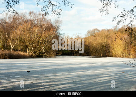 Une journée avec des hivers ensoleillés Hampstead étang gelé et recouvert de glace et de neige ; une petite poule d'eau traverse la glace. Banque D'Images