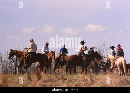 Cowboys participant à un rassemblement du printemps et de l'image de marque sur un ranch au Texas en 1998. Banque D'Images