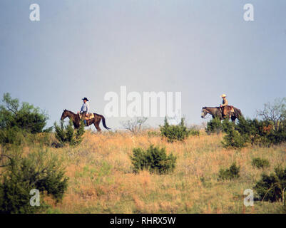 Cowboys à la recherche de veaux d'un ranch au Texas pendant un temps de printemps round up et de l'image de marque Banque D'Images