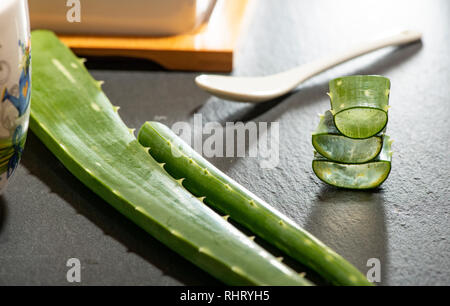 L'aloe vera tranches sur fond sombre. Concept de santé et de beauté. Morceaux d'aloès Gros plan sur la cuillère et rétroéclairage. Banque D'Images