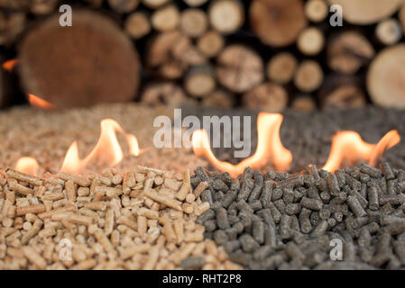 Deux type de pellets de tournesol et de pin -- dans le feu Banque D'Images
