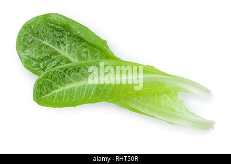 Laitue romaine cos frais isolé sur un fond blanc. Vue d'en haut. Mise à plat Banque D'Images