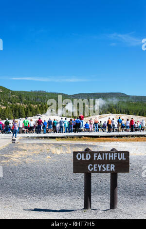 Le parc national de Yellowstone, WY - 11 SEPTEMBRE : foule attend que Old Faithful Geyser d'éclater dans le Parc National de Yellowstone, WY le 11 septembre, 2015 Banque D'Images