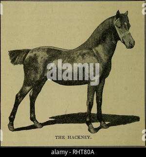 . Biggle livre cheval ;. Les chevaux. 22 LES DIFFÉRENTES RACES. enregistrements sous forme de trotter, et n'est en aucun cas dépourvu de voies de qualifications. Le projet de cheval. Peu d'hommes qui achètent des chevaux se demander s'ils ne sont ni- man, Clyde, Belge, Percheron ou Suffolk. Ils ne cherchent qu'. grand, beau, de bons chevaux, raisonnablement saines, avec une action, et verse de l'argent et être heureux de les obtenir. Ils sont tous grand chevaux, et, à l'exception de la jambe aux cheveux lourdement -ou nettoyer la jambe, aucun homme ne peut dire à l'un de l'autre. Tous sont des plus précieuses et proviennent d'une source. Ils ont. Veuillez noter que ces images sont extraites de sc Banque D'Images
