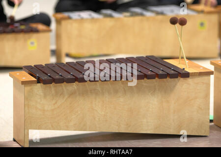 Xylophone diatonique utilisé par les élèves à l'école pour en apprendre davantage sur la musique et l'art. Banque D'Images