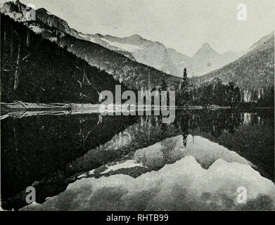 . Rapport biennal, Montana Game and Fish Commission, État du Montana. Le Montana Fish and Game Commission ; protection ; Jeu de conservation de la faune ; la pêche. Amérique du Plus Grand terrain de jeux 37. La réflexion. Le lac Waterton, parc des Glaciers dans ce trou sous l'automne- Salut ! Ce bureau est sûr que certains prison ! Lordy ! Mais que creek ne appel ! Mais bien sûr je n'a pas tenu compte d'elle, d'abord toujours mon code. Retour Je passe à dusty text-books, mais je vois l'ancien Creek Road. Temp à 3:30 est venu d'un client. Lire l'avis sur la porte, "hors de la ville tous les jours pour affaires. De retour demain, à propos de 4." -JOHN S. PYLE. td Banque D'Images