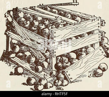 . Mieux les fruits. La culture de fruits. Avant d'utiliser des clous enduits de ciment des clous pour CementCoated Western Western Growers Nos clous enduits de ciment sont toujours de longueur uniforme, jauge, iiead et count. Surtout adapté à la fabrication de boîtes et caisses de fruits. En bref, ils sont les meilleurs sur le marché. Écrire pour Growers' témoignages. Colorado Fuel &AMP ; Iron Co. DENVER, COLORADO Bureaux de vente de la côte du Pacifique, Spokane Portland San Francisco, Los Angeles. Veuillez noter que ces images sont extraites de la page numérisée des images qui peuvent avoir été retouchées numériquement pour plus de lisibilité - coloration et appearan Banque D'Images