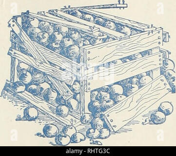 . Mieux les fruits. La culture de fruits. Avant d'utiliser des clous enduits de ciment des clous pour CementCoated Western Western Growers Nos clous enduits de ciment sont toujours de longueur uniforme, jauge, tête et count. Surtout adapté à la fabrication de boîtes et caisses de fruits. En bref, ils sont les meilleurs sur le marché. Écrire pour Growers' témoignages. Colorado Fuel &AMP ; Iron Co. DENVER, COLORADO Bureaux de vente de la côte du Pacifique, Spoliane Portland, San Francisco, Los Angeles. Veuillez noter que ces images sont extraites de la page numérisée des images qui peuvent avoir été retouchées numériquement pour plus de lisibilité - coloration et appearan Banque D'Images