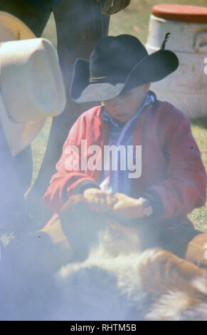 Les jeunes participant à un cowboy ressort autour de l'image de marque et d'un ranch au Texas Banque D'Images