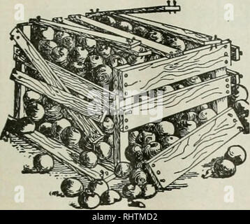 . Mieux les fruits. La culture de fruits. Les apis de meilleurs fruits Page ii. avant d'utiliser des clous enduits de ciment de clous enduits de ciment de l'Ouest pour les producteurs de l'Ouest Nos clous enduits de ciment sont toujours de longueur uniforme, jauge, tête et count. Particulièrement adapté à la fabrication de boîtes et caisses de fruits. En bref, ils sont les meilleurs sur le marché. Écrire pour Growers' témoignages. Colorado Fuel &AMP ; Iron Co. DENVER, COLORADO Bureaux de vente de la côte du Pacifique, Spokane Portland San Francisco, Los Angeles. Veuillez noter que ces images sont extraites de la page numérisée des images qui peuvent avoir été retouchées numériquement pour plus de lisibilité Banque D'Images