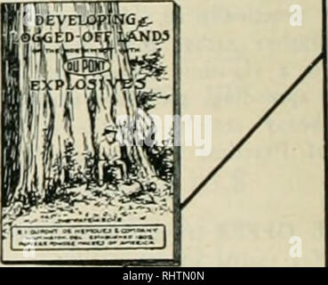 . Mieux les fruits. La culture de fruits. E. I. du Pont de Nemours &AMP ; Co., Inc. (le plus proche de l'adresse succursale) Veuillez m'envoyer une copie gratuite du *'Le Developinent Logged-Off de terres." Pott Office (22). Veuillez noter que ces images sont extraites de la page numérisée des images qui peuvent avoir été retouchées numériquement pour plus de lisibilité - coloration et l'aspect de ces illustrations ne peut pas parfaitement ressembler à l'œuvre originale.. L'État de Washington Apple Commission. Hood River, Oregon , fruits mieux Pub. Co Banque D'Images