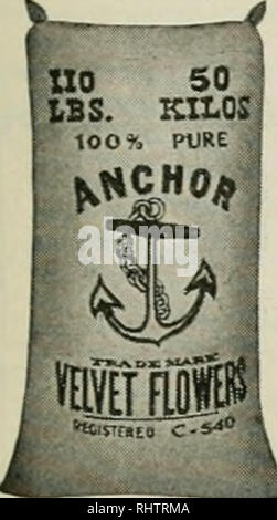 . Mieux les fruits. La culture de fruits. Septembre, 1919 Page I FRUITS mieux la vieille cloche fiable &AMP ; CO. Incorporated et produisent des fruits en gros 112-114, rue Front à Portland, en Oregon. Il a été prouvé de soufre et ainsi recommandé par l'Université de Californie que si vous le soufre vos vignes et vergers 6 fois ils ne seront pas touchés par la moisissure ou araignées rouges. Marque d'ancrage Vel- fleurs de soufre de l'EFP, également Eagle Brand. Fleur de soufre, emballés dans des sacs doubles, sont le IVft nniKB la plus pure et l'fluffiest 4|L'ubt5  !"^je soufres que l'argent peut acheter, le meilleur de la vigne- mètres ; le meilleur pour â bleachin Banque D'Images