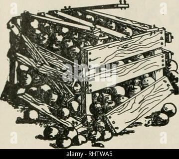 . Mieux les fruits. La culture de fruits. Page 20 septembre fruits mieux. Avant d'utiliser des clous enduits de ciment trouvé froid la moyenne orchardist absolument pas préparés à tirer profit de l'apiculture ; assurance et la même saison en arrière maintenu les abeilles de l'élevage aussi rapidement qu'ils ne le feraient autrement, il était impossible d'obtenir grand, fort, vibrant, colonies et des centaines de dollars ont été retournés à l'des acquéreurs qui, comme d'habitude, envoyé dans leurs ordres tout comme les fleurs devaient comparaître, sans prospective comme à des conditions, et bien sûr exigé navire immédiate- ment. Il est à l'orchardist et pour son bene Banque D'Images