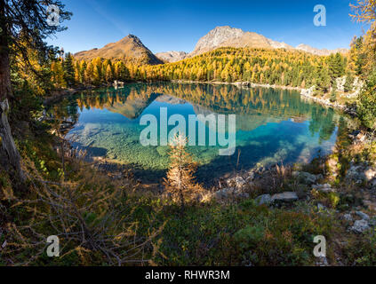 Lago di Saoseo pittoresque dans le Val di Campo sur une magnifique journée d'automne Banque D'Images